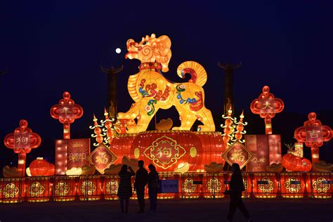 Le Village des Lanternes : Un joyau vibrant illuminant la nuit maomingienne !