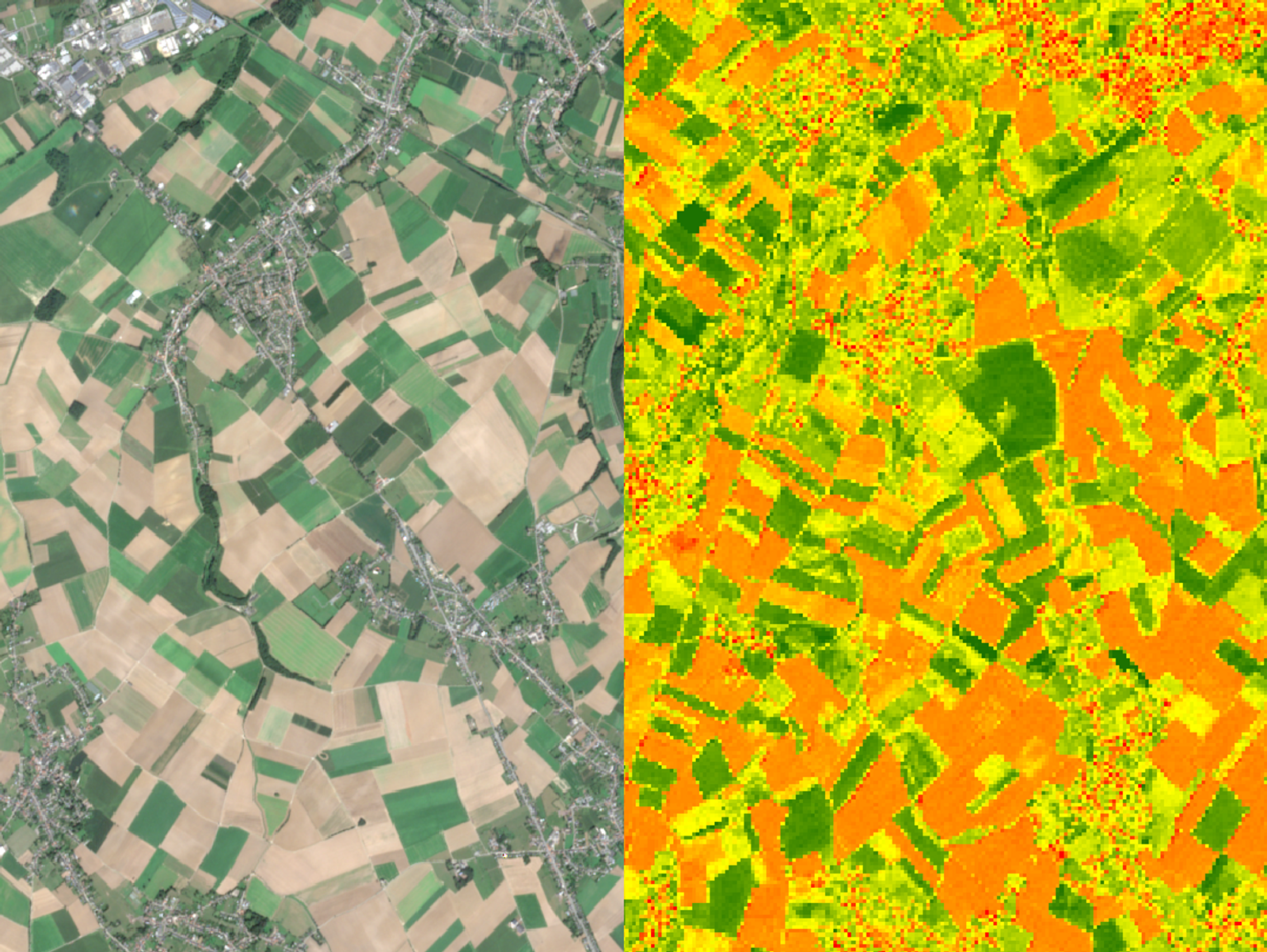 What is NDVI?
